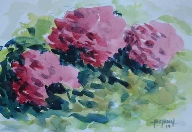 Hortensias