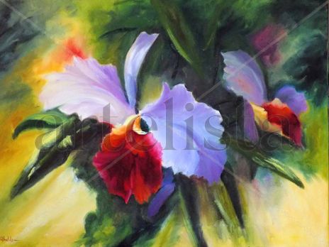 Orchid