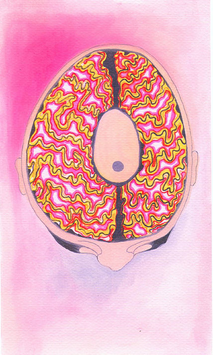 Ilustracion