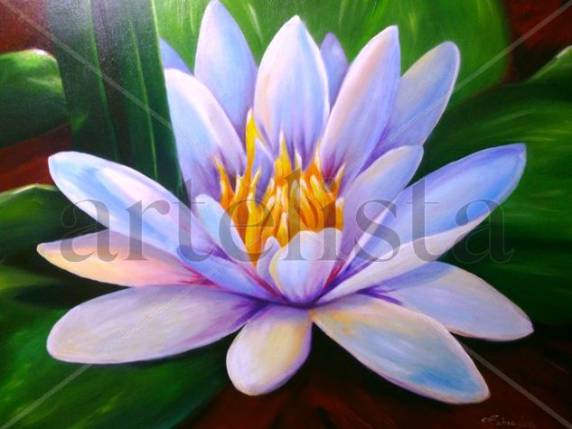 lotus Oil Canvas Floral Painting