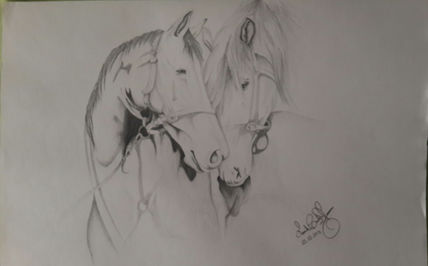 Amor animal