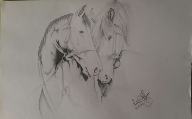 Amor animal