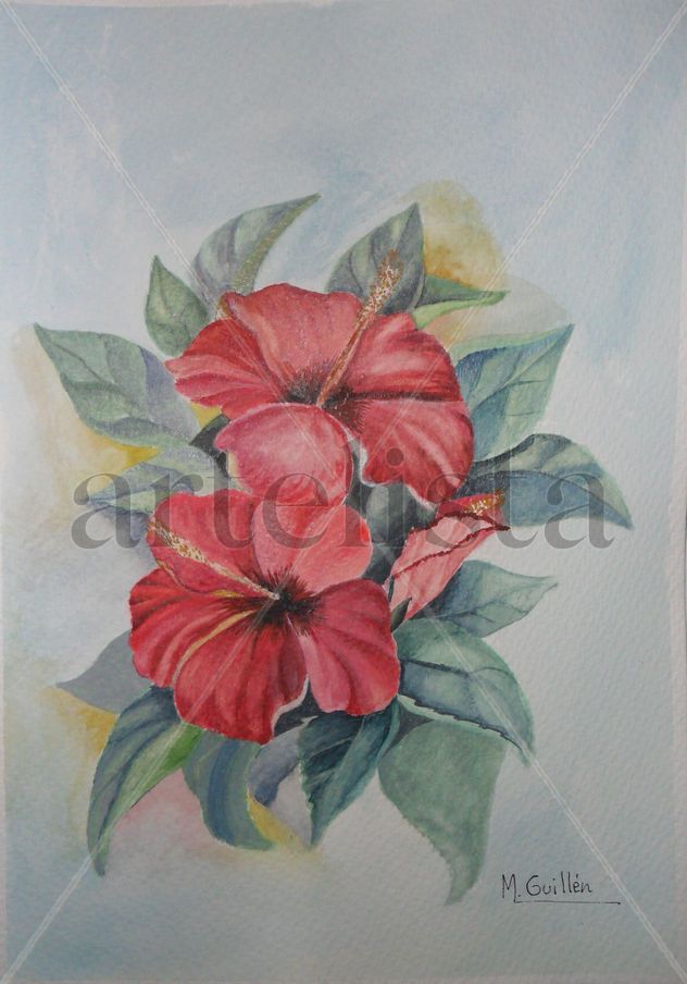 Flores