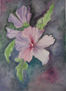 Flores III