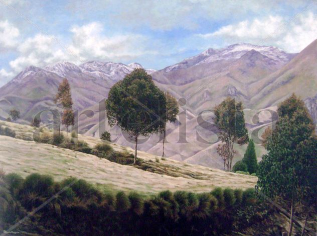 Árboles En Tigua