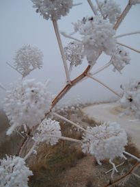 Invierno en el camino