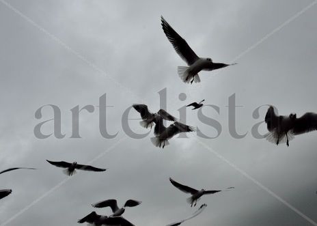 El vuelo de las...