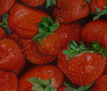 fresas1