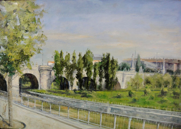 Puente de Toledo de Maddrid Watercolour Canvas Landscaping