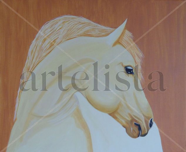 Camargue Timide Acrylic Canvas Animals