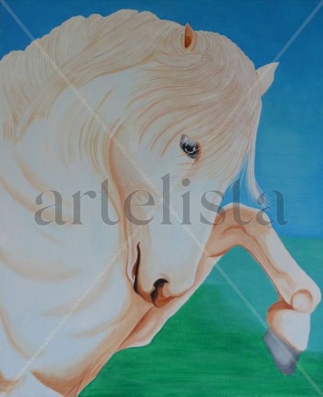 Camargue Joueur