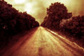 El camino