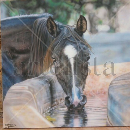 caballo bebiendo Acrílico Lienzo Animales