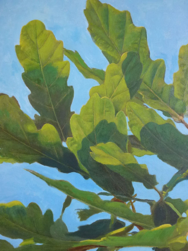 HOJAS DE ROBLE SOBRE CIELO AZUL