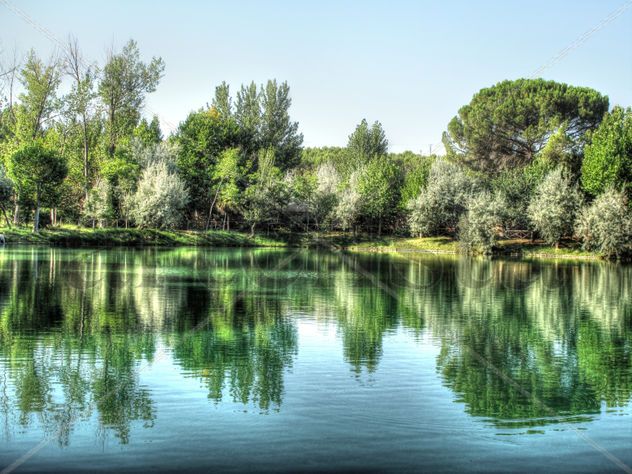 Reflejos