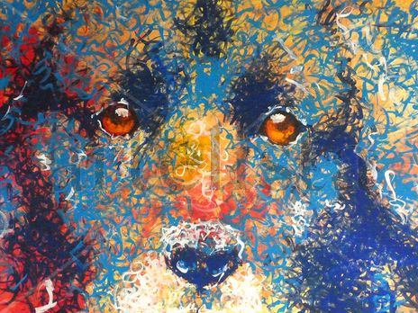 Ojos de Perro Azul