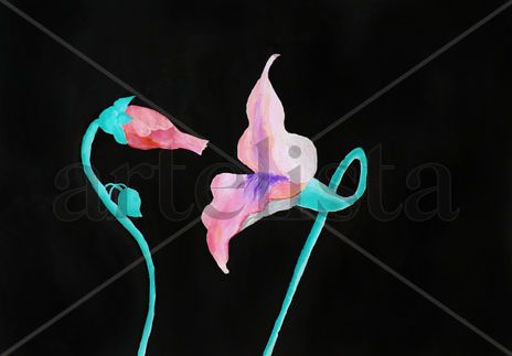 Acción Sexual de...