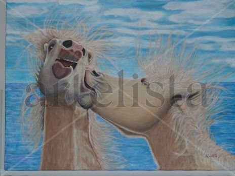 Camargue Sauvage