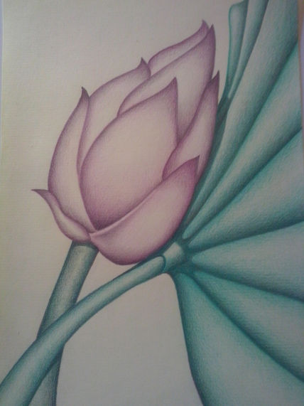 Loto 1