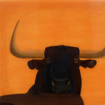 Toros thumbnail 1