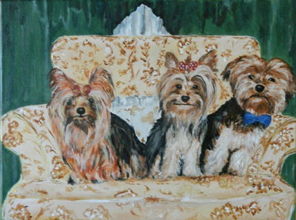 Punky,Brownie,Ebony