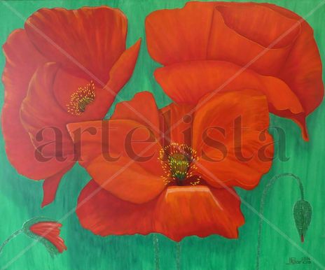 Coquelicots 7 -...