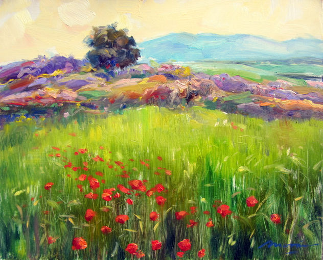 Amapolas y espliegos en los Montes de Toledo.