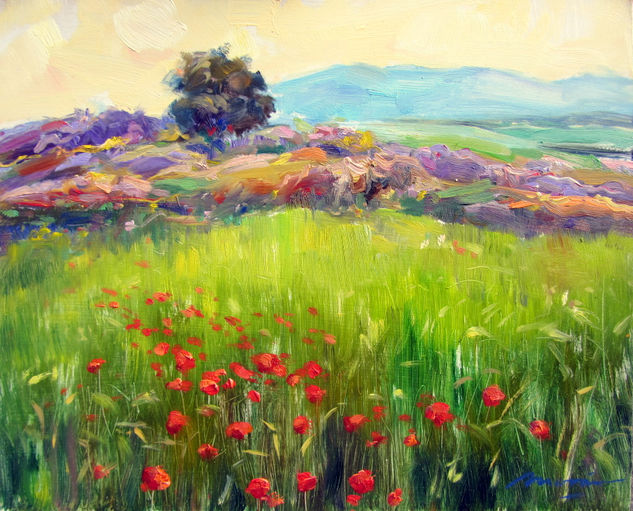 Amapolas y espliegos en los Montes de Toledo. Oil Panel Landscaping