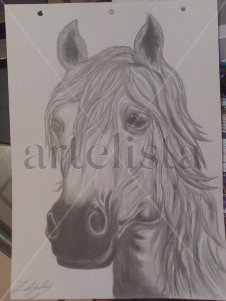 Caballo