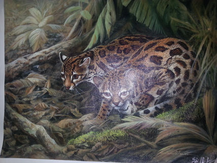 Leopardos