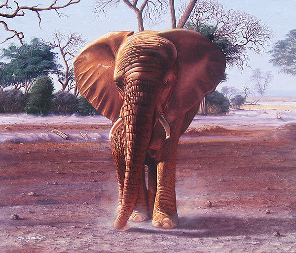 Un elefante demaciado cerca Oil Canvas Animals