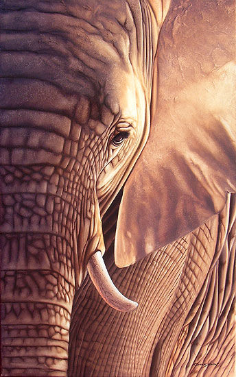 Elefante en primer plano Oil Canvas Animals