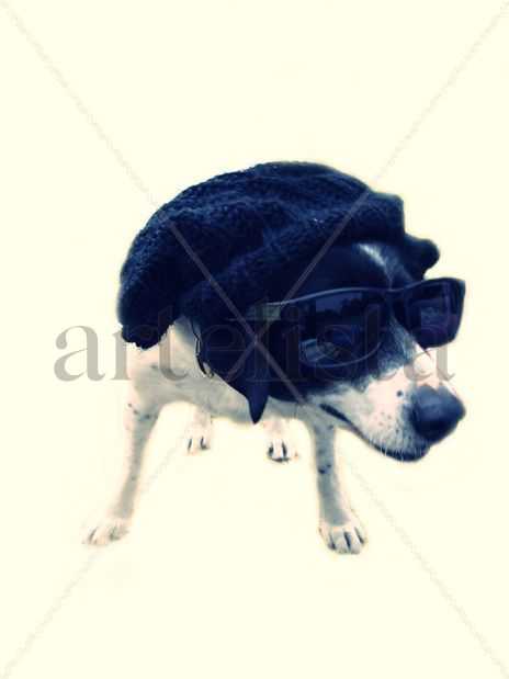 Fiby