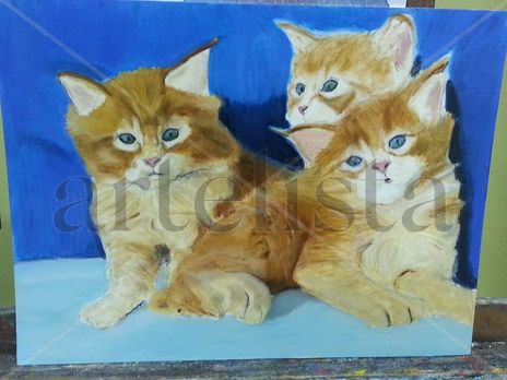Gatos