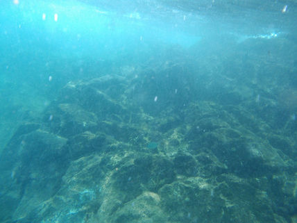 Mar