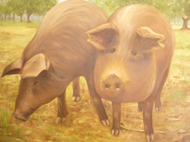 Cerdos de Jabugo Oil Canvas Animals