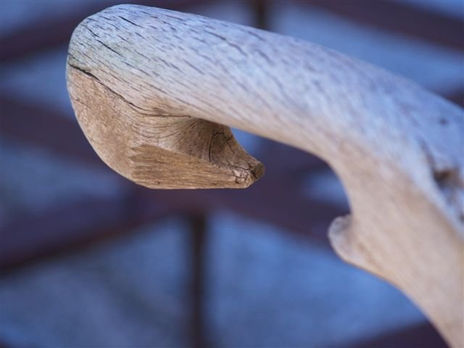 Madera viva
