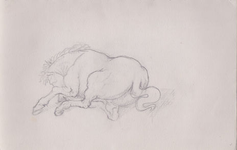 Caballo