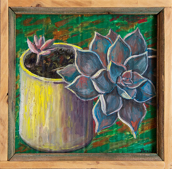 Flor suculenta con maceta Oil Others Floral Painting