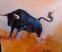 Toro de lidia