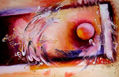 Closer to the Moon = sold