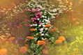 Bosque de Flores