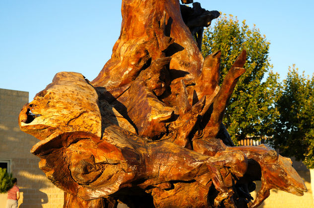 Escultura de Madera Wood Mixed