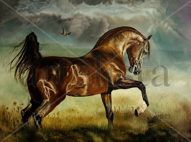 Caballo árabe Oil Canvas Animals