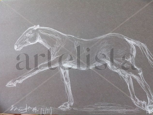 Galope perseguidor