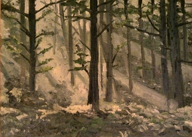 mysterious forest Oil Canvas Landscaping