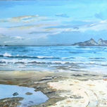 colección 2014 thumbnail 1
