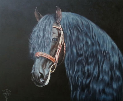 Caballo español