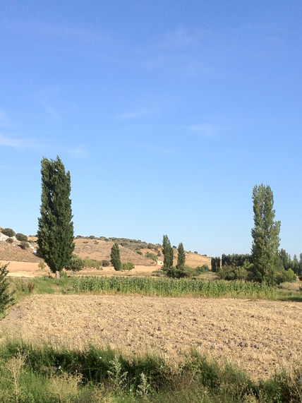 La mancha