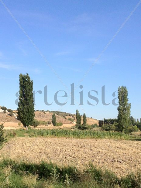 La mancha